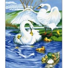 Swans, paint by number