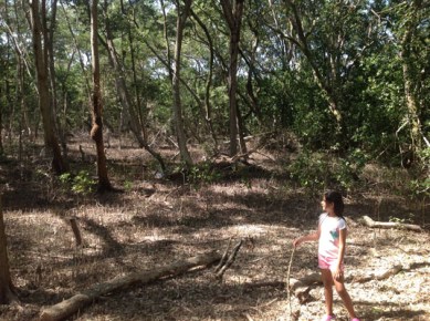 Drawing workshop in Colombia