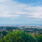 Let Go! The Artist’s Way of Cooking