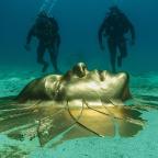 Concerning A.I., we are still good for a few centuries!