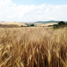 painting workshop retreat in Tuscany, Italy,